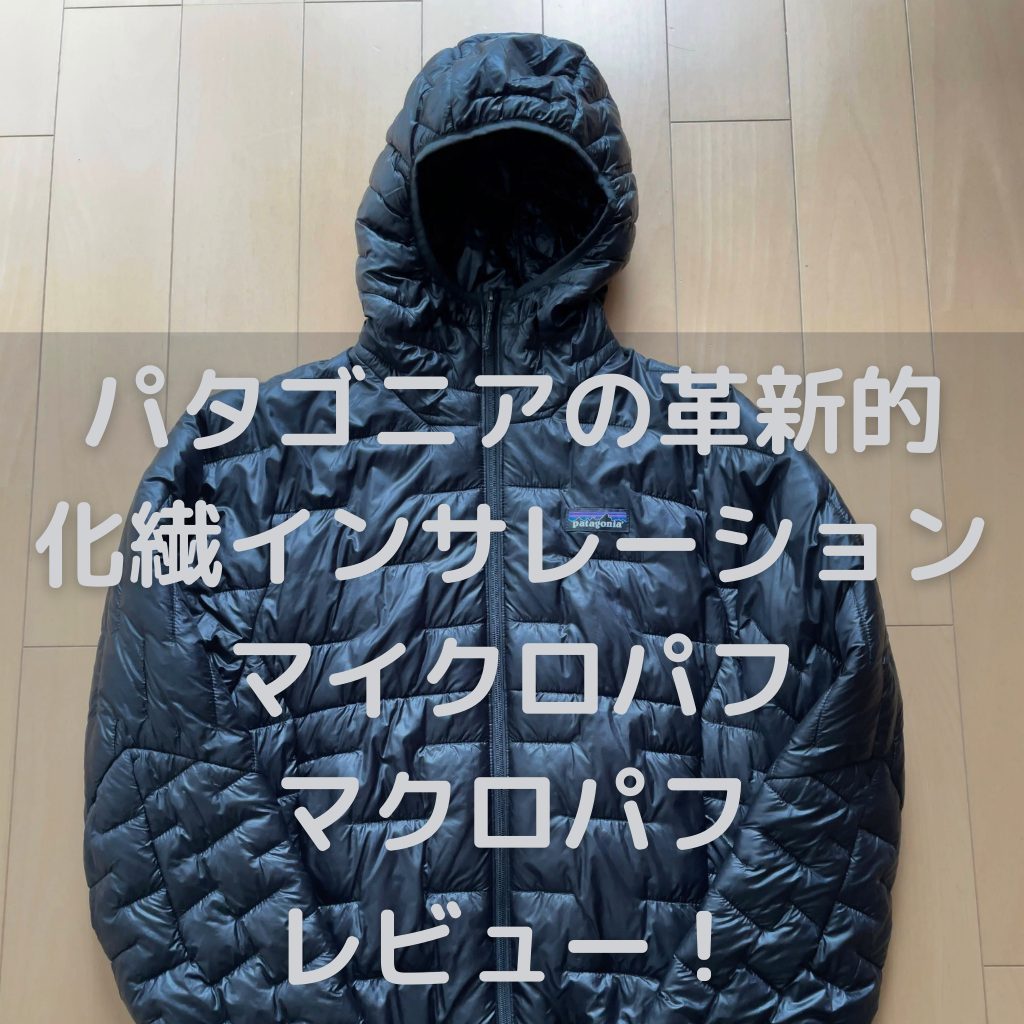 MENs L パタゴニア マイクロ パフ フーディ MICRO PUFF HOODY